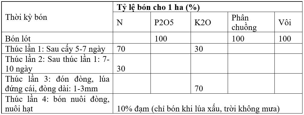 bai 4-moi-phan bon-bang3_1638160130.png